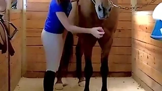 Multi Porn Videos 3