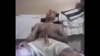 Big White Dick Real dungeon masturbation