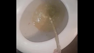 Toilet Piss