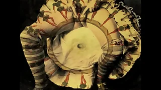 vintage erotic stratagems