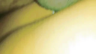 Brother-in-law fucked desi bhabhi in doggystyle in his home Punjabi Bhabhi Hardcore copulation