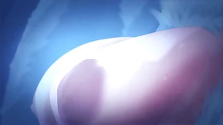 Pricilla y su amor a las pollas