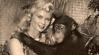 690 vintage porn videos