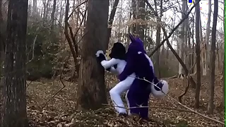 Fursuit Couple Mating in Woods