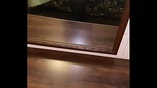 Ebony bbw in black lingerie