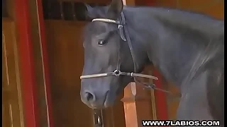 Semental negro whisk broom gran pene negro