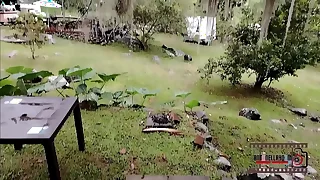 Espiando a mi vecina &sol; Spying on my neighbor