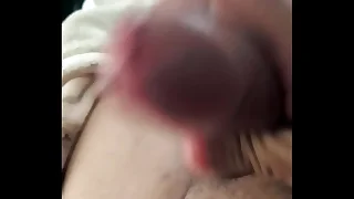 Verg&oacute;n Guadalajara